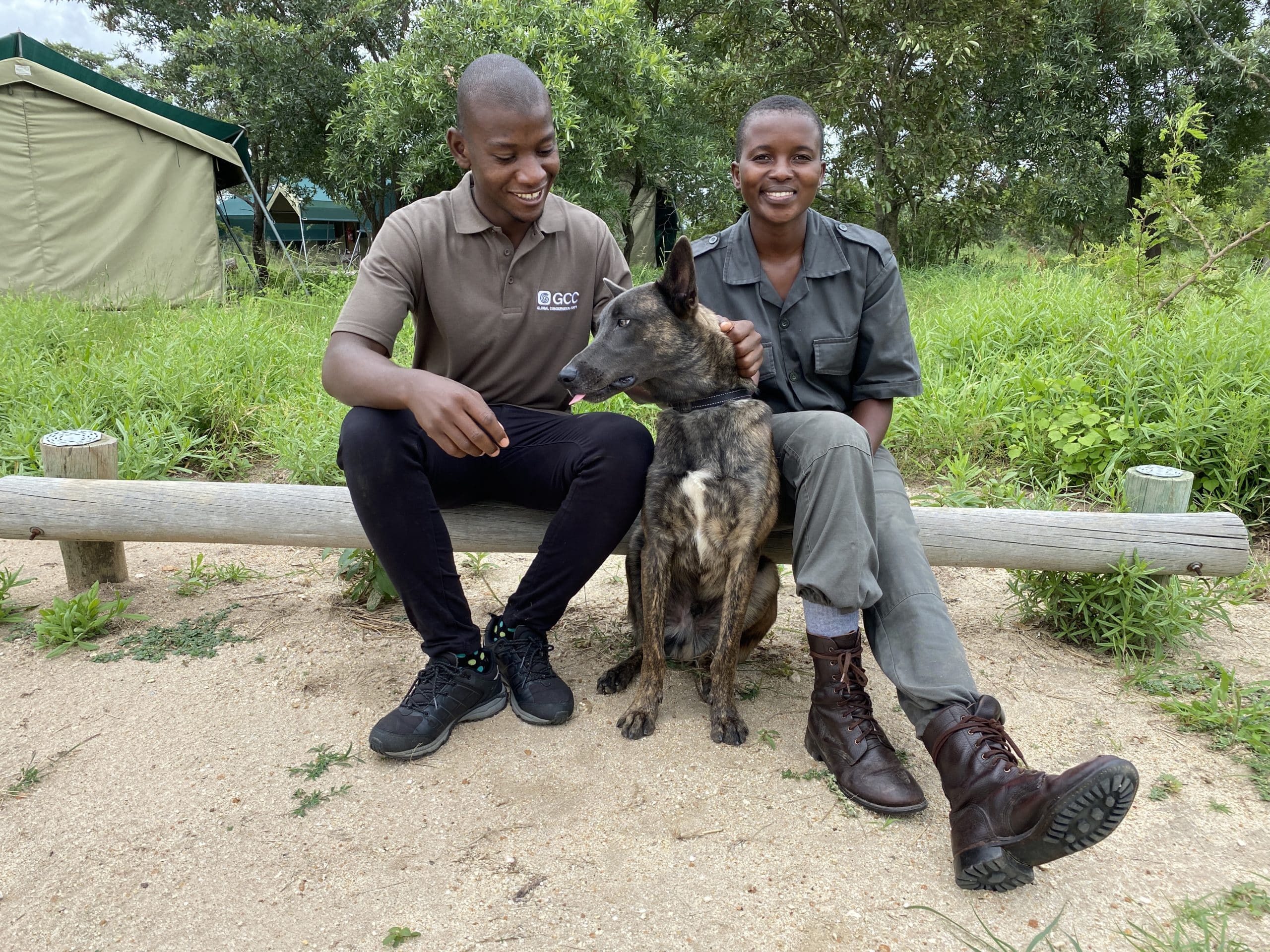 Careers in Conservation: Video Series Presented by the Global Conservation Corps