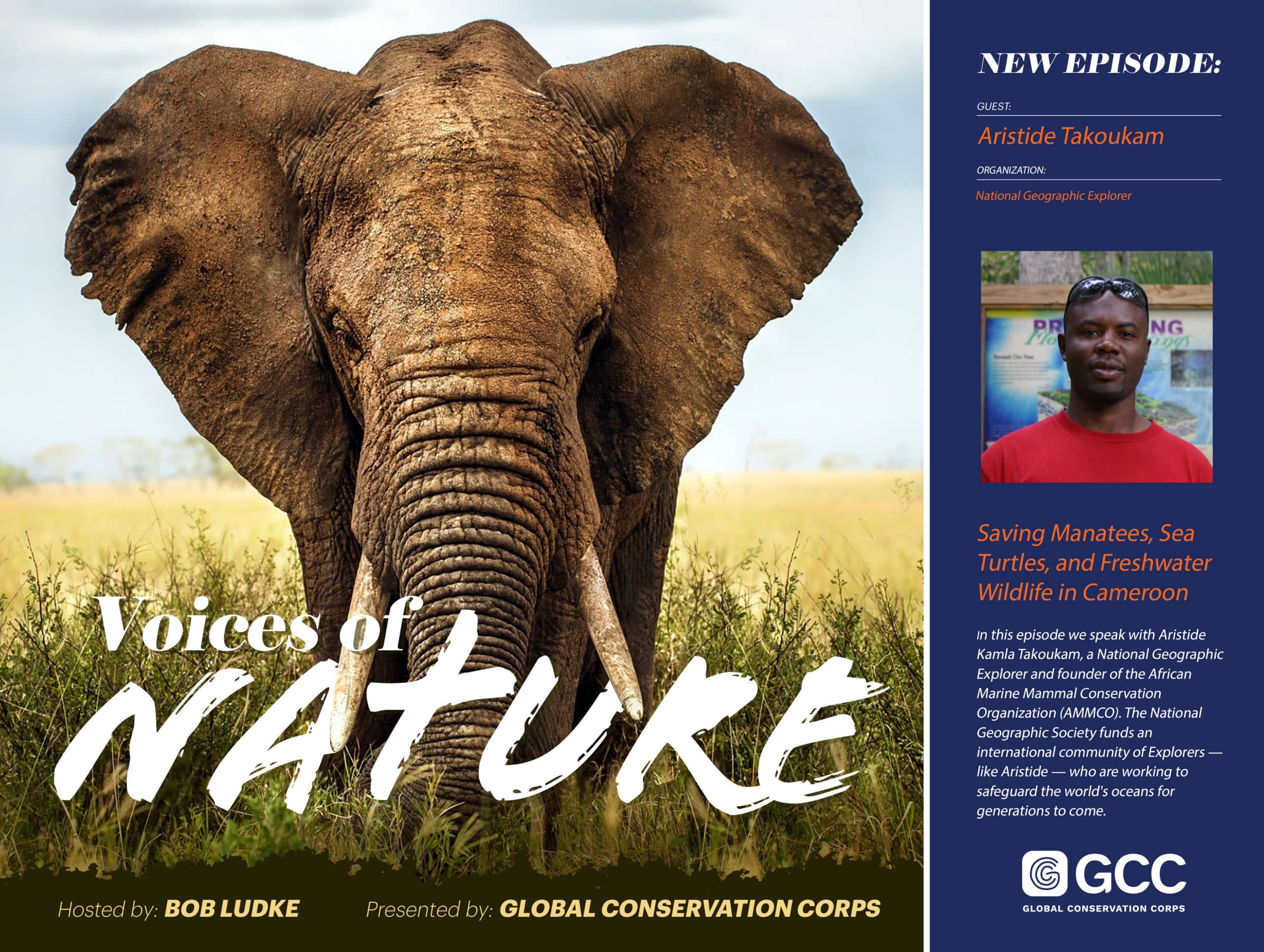 Aristide_Episode_Graphic Voices of Nature Podcast Episode 8: National Geographic Explorer Aristide Takoukam
