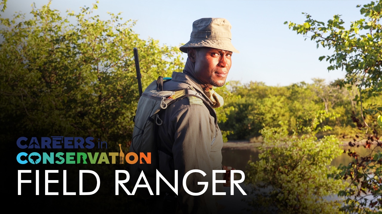 Careers in Conservation Episode One: Sherpherd Maunye