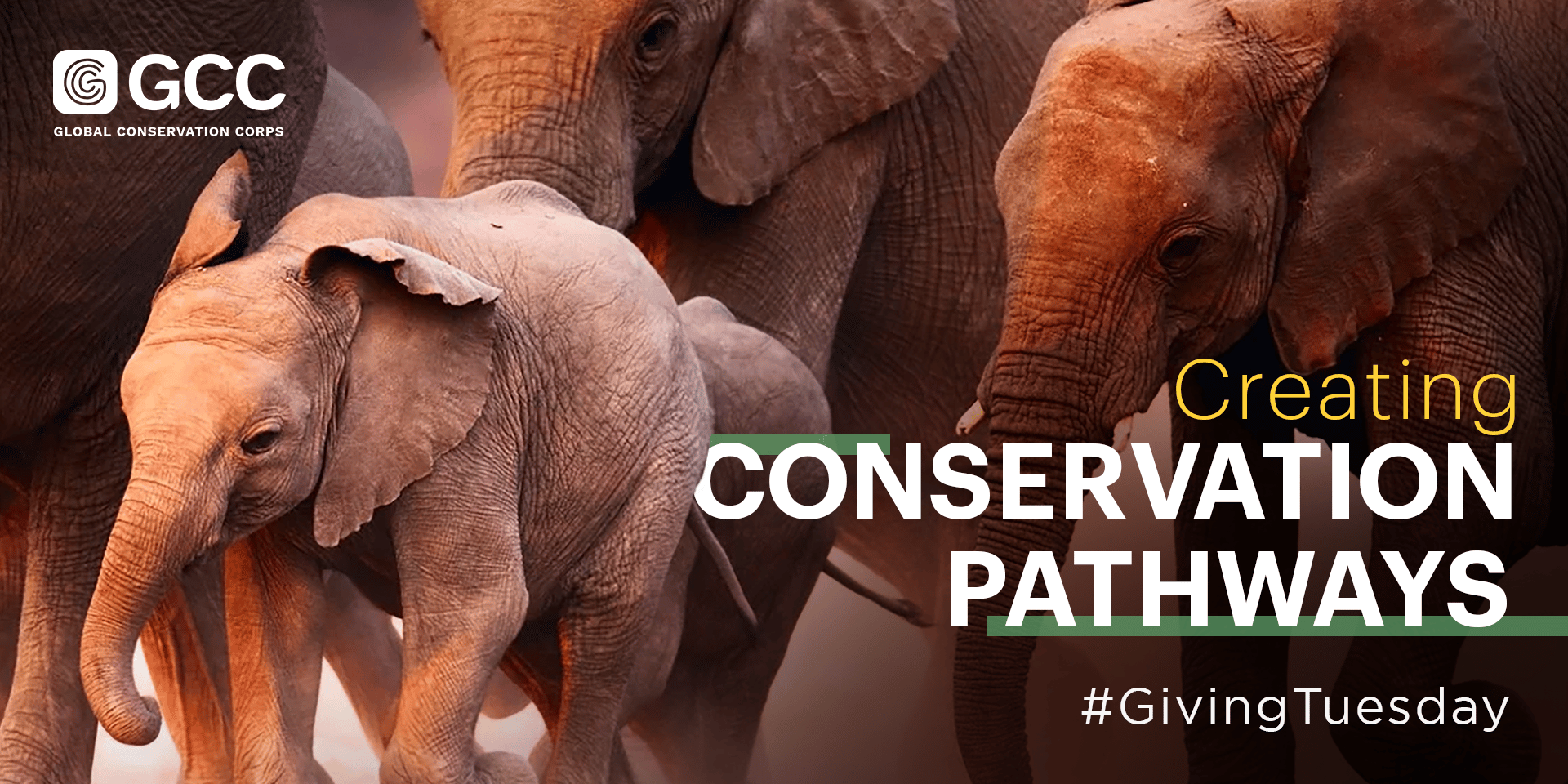 #GivingTuesday 2021: Creating Conservation Pathways