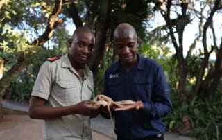 Careers in Conservation EPISODE SIX: Silence Musuku Reptile Handler Hoedspruit Reptile Centre