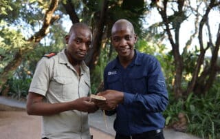 Careers in Conservation EPISODE SIX: Silence Musuku Reptile Handler Hoedspruit Reptile Centre