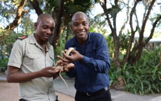 Careers in Conservation EPISODE SIX: Silence Musuku Reptile Handler Hoedspruit Reptile Centre