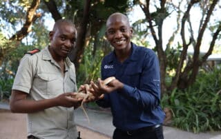 Careers in Conservation EPISODE SIX: Silence Musuku Reptile Handler Hoedspruit Reptile Centre