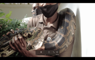Careers in Conservation EPISODE SIX: Silence Musuku Reptile Handler Hoedspruit Reptile Centre