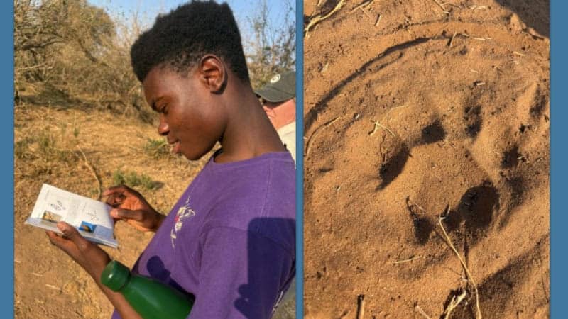 GCC Future Rangers Field Trips: Exploring Nature, Expanding Minds