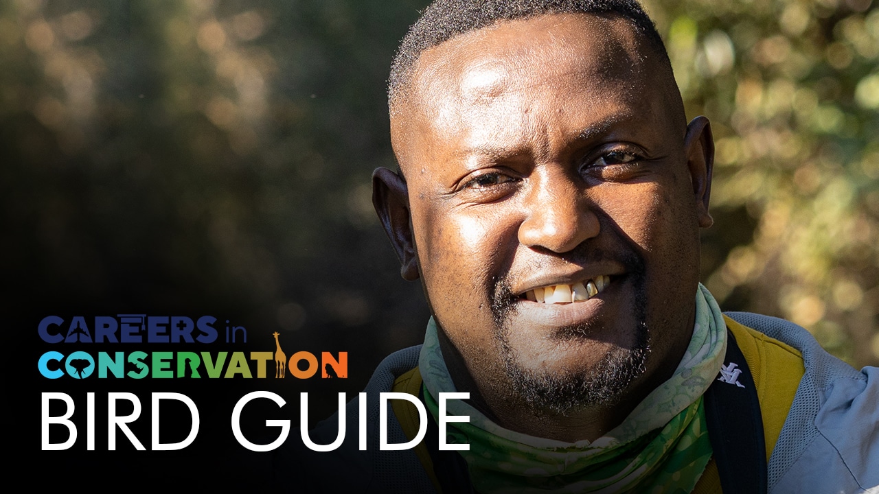 Careers in Conservation: Wisani Mkhansi - Bird Guide