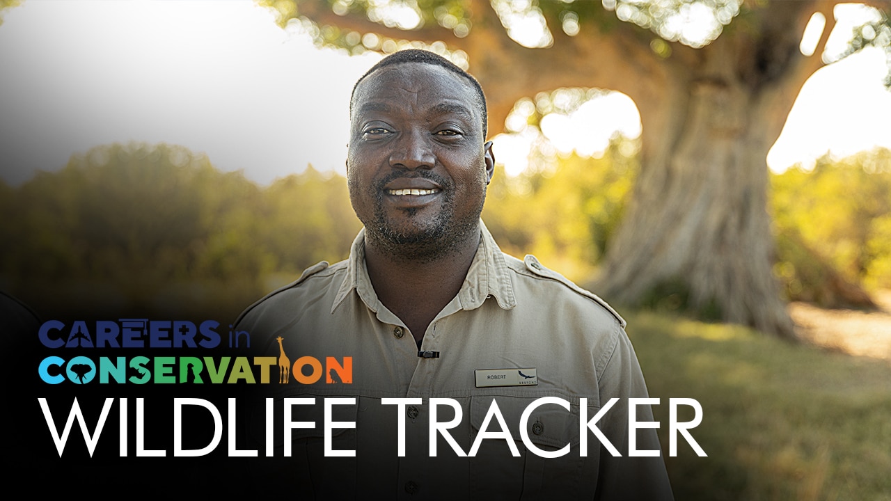 Careers in Conservation: Wildlife Tracker