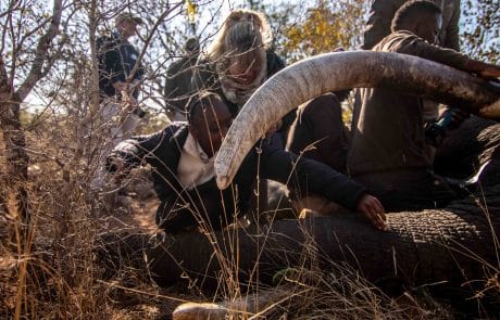 J64A9180_EvelynPoole_small