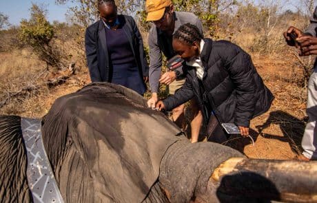 J64A9336_EvelynPoole_small