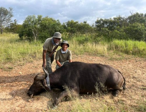 Global Conservation Corps Newsletter: May 2026