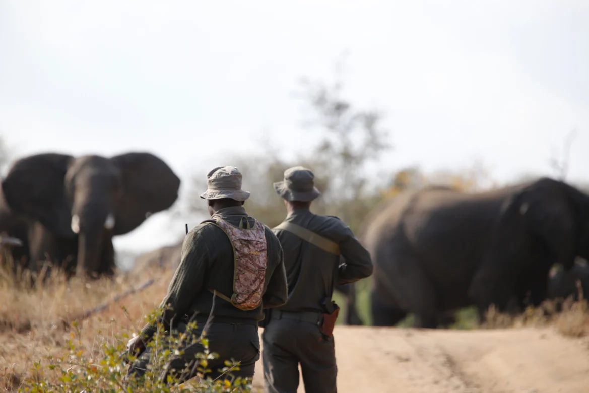 GCC supports field rangers protecting wildlife in South Africa