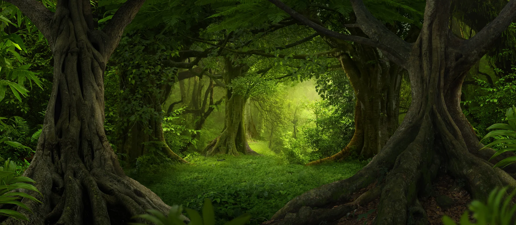 The Voices of Nature Podcast: Sponsored by Global Conservation Corps